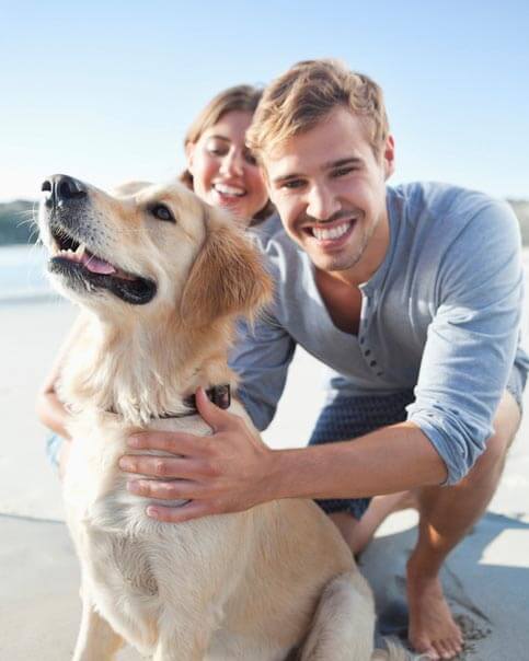 Pet Friendly callout